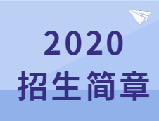 速查：這些院校2020招生簡章已經公布！